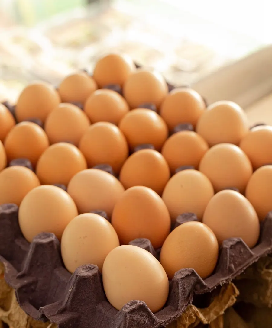 Huevos